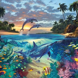 Jigsaw puzzle: Coral bay