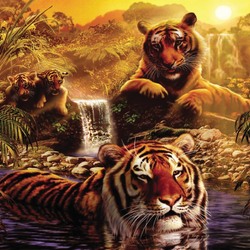 Jigsaw puzzle: Tigers at the waterfall