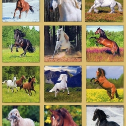 Jigsaw puzzle: Year of the Horse