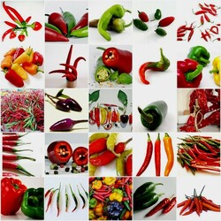 Jigsaw puzzle: Collage of peppers