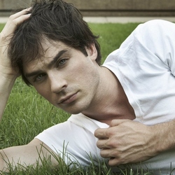 Jigsaw puzzle: Ian Somerhalder