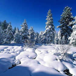Jigsaw puzzle: White snow and blue sky