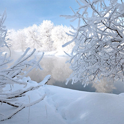 Jigsaw puzzle: Cold