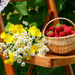 Jigsaw puzzle: Flowers with strawberries