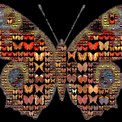 Jigsaw puzzle: Butterfly