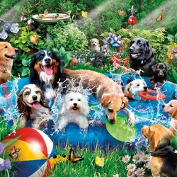 Jigsaw puzzle: Water fun in the summer heat
