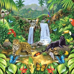 Jigsaw puzzle: In the jungle