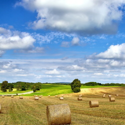 Jigsaw puzzle: Haymaking