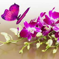 Jigsaw puzzle: Orchids and Butterfly