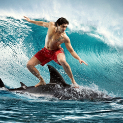 Jigsaw puzzle: Such is the surfing