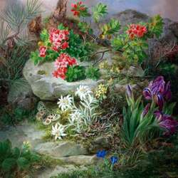 Jigsaw puzzle: Flowers on stone