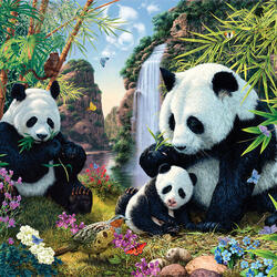 Jigsaw puzzle: Panda bears