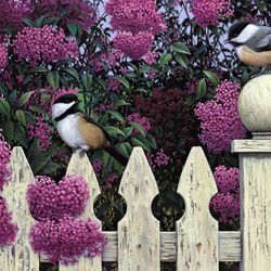 Jigsaw puzzle: Titmouse on the fence