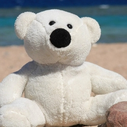 Jigsaw puzzle: Teddy bear on the sea