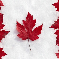 Jigsaw puzzle: Flag of Canada