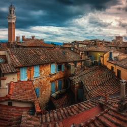 Jigsaw puzzle: Roofs of italy