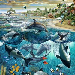 Jigsaw puzzle: Dolphin island