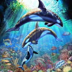 Jigsaw puzzle: Killer whales and corals