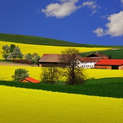 Jigsaw puzzle: Scenery