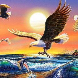 Jigsaw puzzle: Eagles fishing