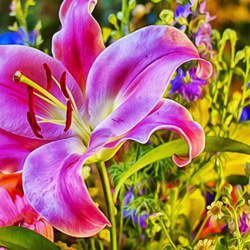 Jigsaw puzzle: Lily