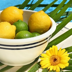 Jigsaw puzzle: Lime and lemon