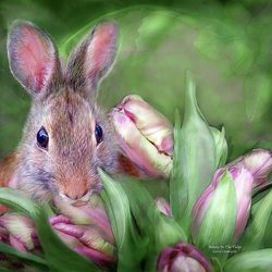Jigsaw puzzle: Hare in tulips