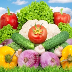 Jigsaw puzzle: Vegetable composition