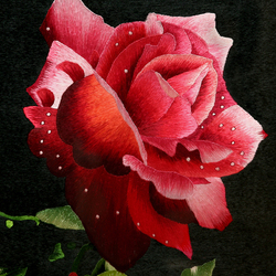 Jigsaw puzzle: the Rose