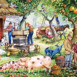Jigsaw puzzle: Apple harvest