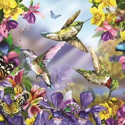 Jigsaw puzzle: Butterflies and hummingbirds