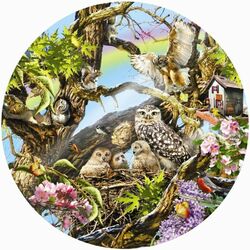 Jigsaw puzzle: Owl family