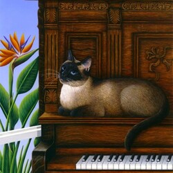 Jigsaw puzzle: Musical cat