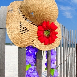 Jigsaw puzzle: Summer fence