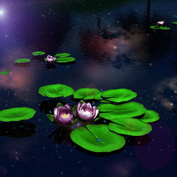 Jigsaw puzzle: Magic water lilies