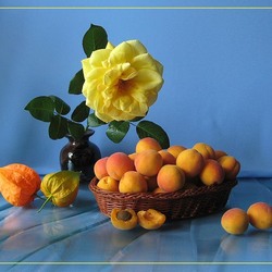 Jigsaw puzzle: Dish with apricots