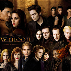 Jigsaw puzzle: New moon