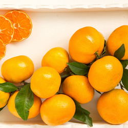 Jigsaw puzzle: Sunny tangerines