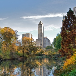 Jigsaw puzzle: New York, Central Park