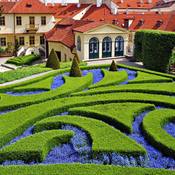 Jigsaw puzzle: Beautiful garden