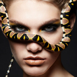 Jigsaw puzzle: Photoset with snakes