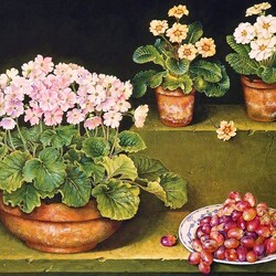 Jigsaw puzzle: Primroses and grapes