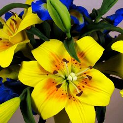 Jigsaw puzzle: Lily flower arrangement with irises