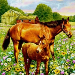 Jigsaw puzzle: Horses in the meadow