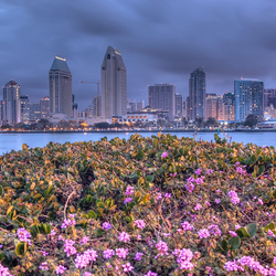 Jigsaw puzzle: View of San Diego
