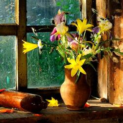 Jigsaw puzzle: Flowers on the window