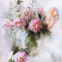 Jigsaw puzzle: Peonies scent
