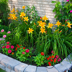 Jigsaw puzzle: Flowers in the flowerbed