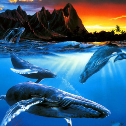 Jigsaw puzzle: Three whales