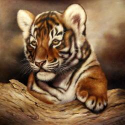 Jigsaw puzzle: Tiger cub
